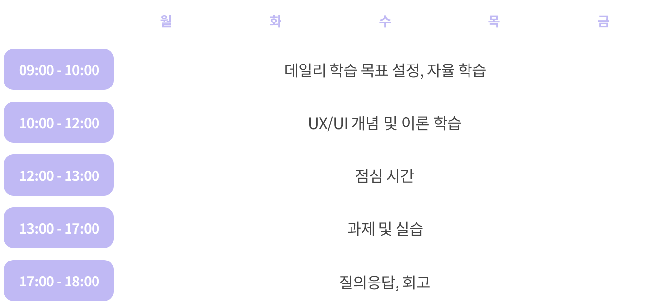 UI/UX 디자인 시간표